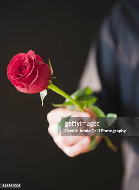 Had Giving Red Roses 1,059 Giving Red Roses Stock Photos, High-Res Pictures, and Images ...