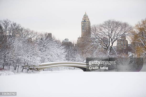 usa, new york city, central park in winter - central park winter stock-fotos und bilder