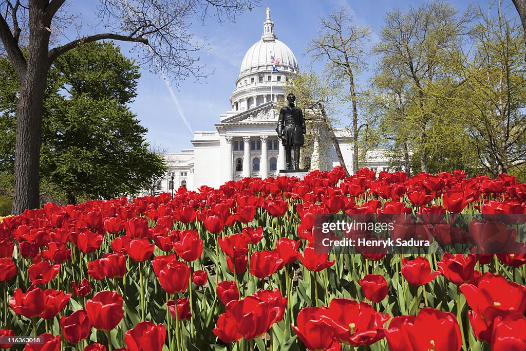 USA, Wisconsin, Madison, State Capitol Building, red tulips in foreground