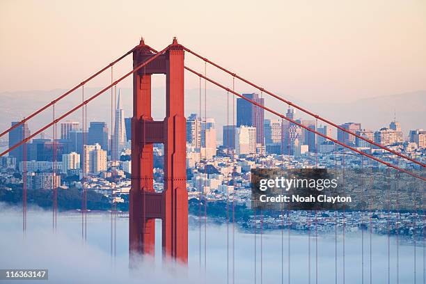 usa, california, san francisco, golden gate bridge in fog - golden gate bridge stockfoto's en -beelden