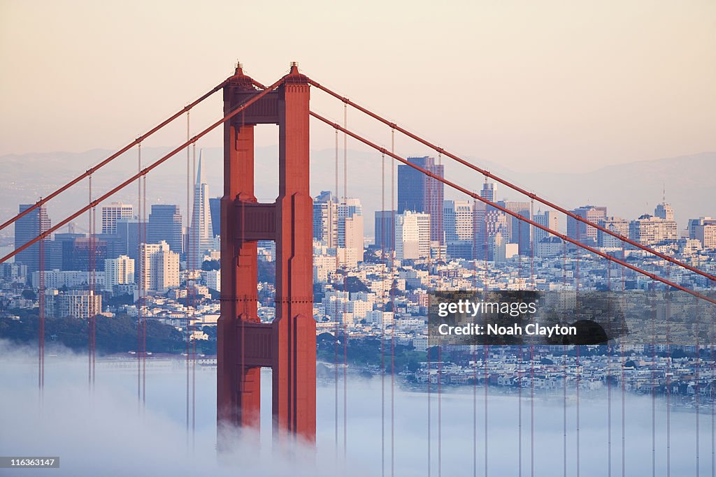 USA, California, San Francisco, Golden Gate Bridge in fog
