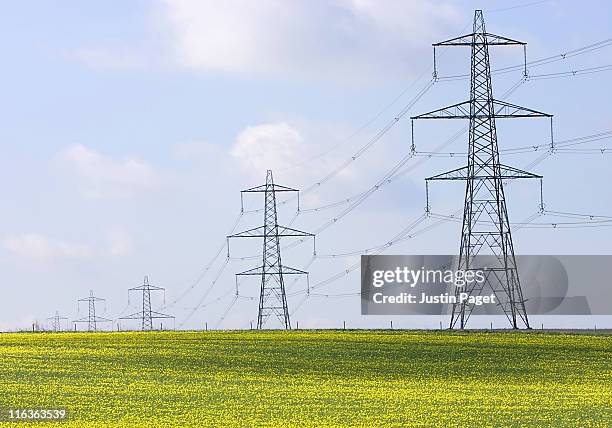 uk, england, cambs, burwell, electricity pylons - 送電鉄塔 ストックフォトと画像