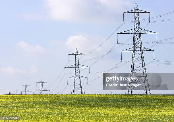 uk, england, cambs, burwell, electricity pylons - electricity pylon 個照片及圖片檔