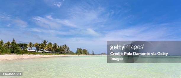 beautiful beach in bahamas, caribbean ocean and idyllic islands in a sunny day - atlantis stock-fotos und bilder