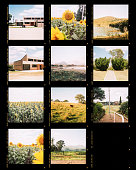 Photography contact sheet of a set of shots in countryside. Analog film photo style presentation for press agencies and artist with photos marked