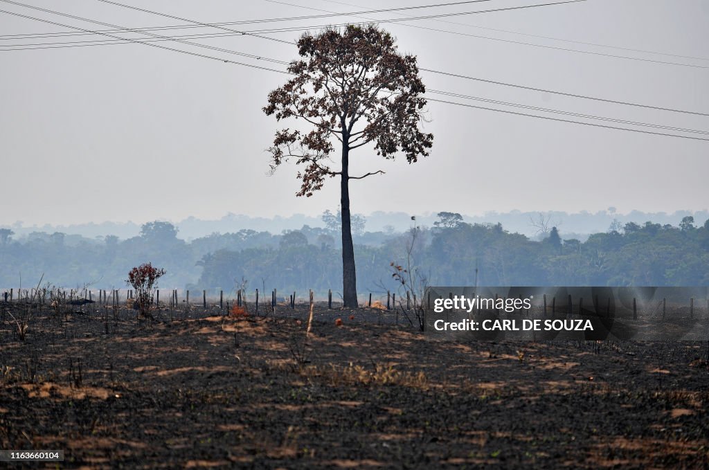 BRAZIL-FIRE-AMAZON-DEFORESTATION