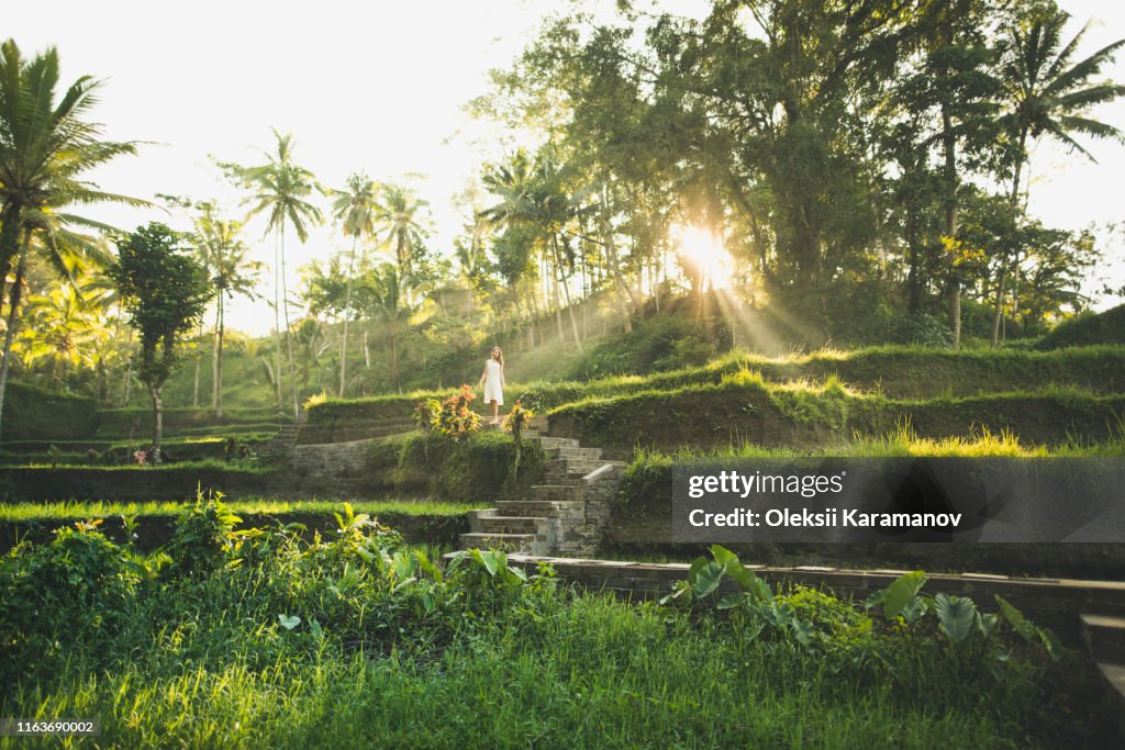 Woman wearing white dress on terraced rice paddies in Bali, Indonesia