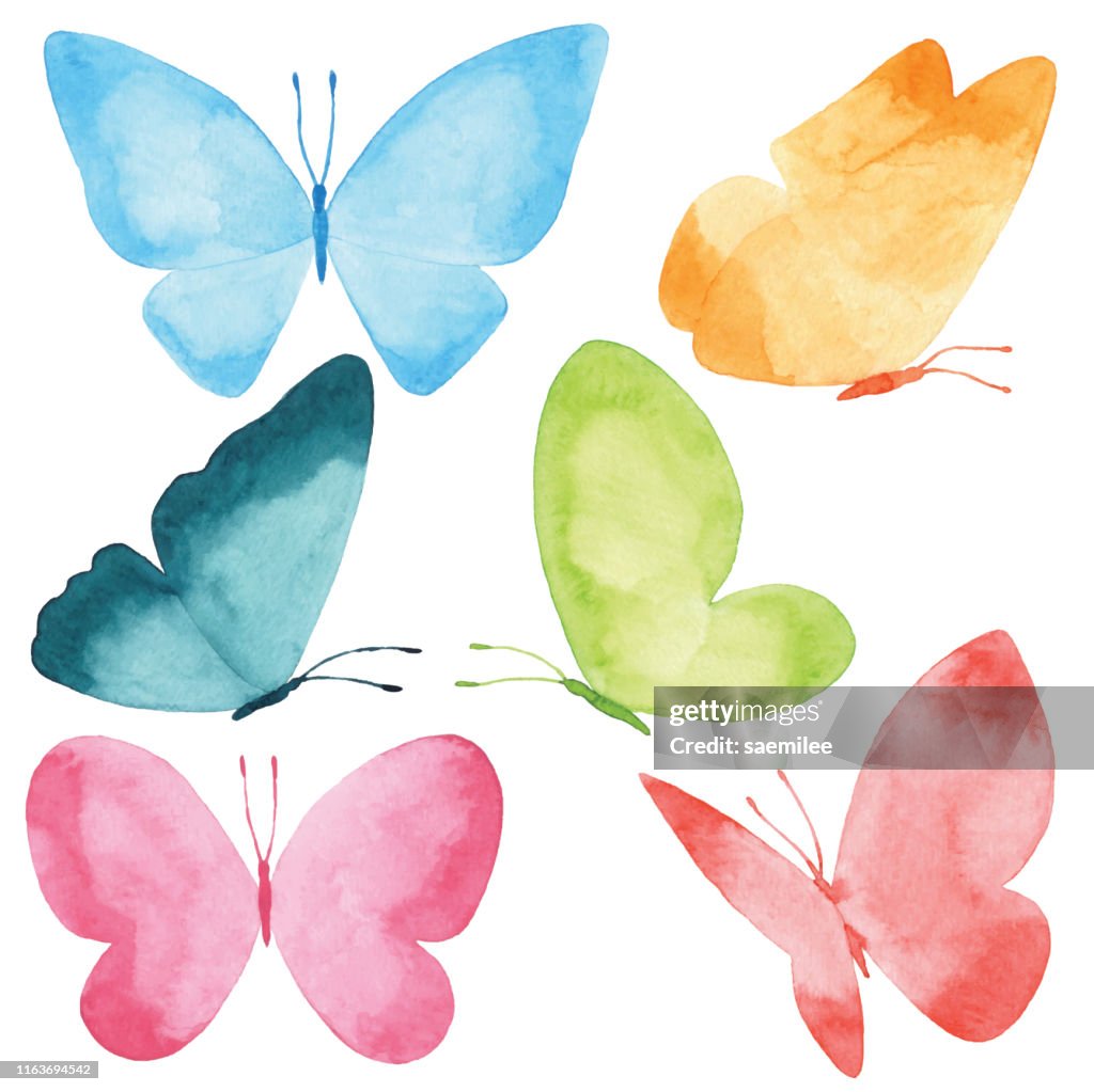 Farfalle acquerello