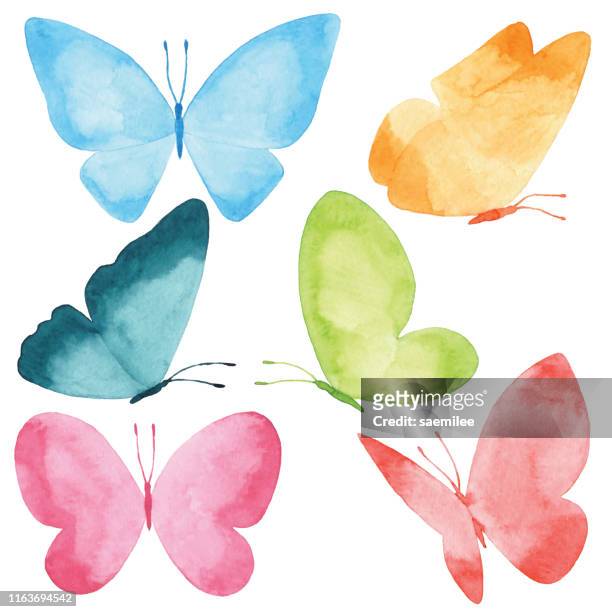 illustrazioni stock, clip art, cartoni animati e icone di tendenza di farfalle acquerello - acquerello