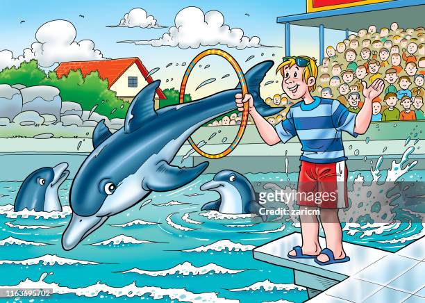 34 Dolphin Show High Res Illustrations - Getty Images