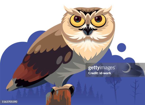 owl standing on pole at night - perching stock illustrations