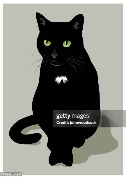 2 6点の黒猫イラスト素材 Getty Images