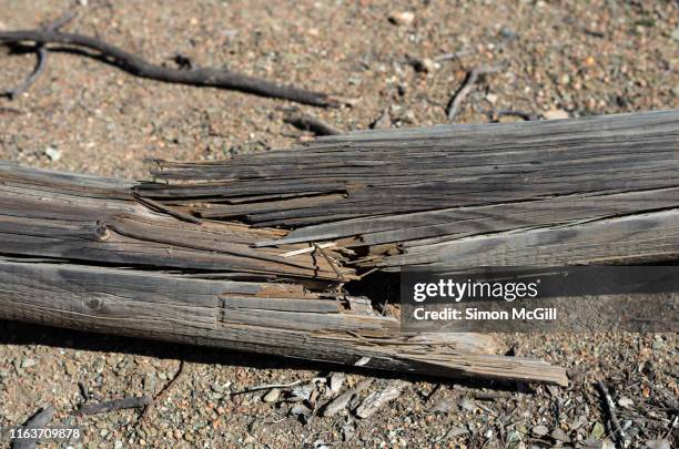 broken treated pine (permapine) log fence - splitter stock-fotos und bilder