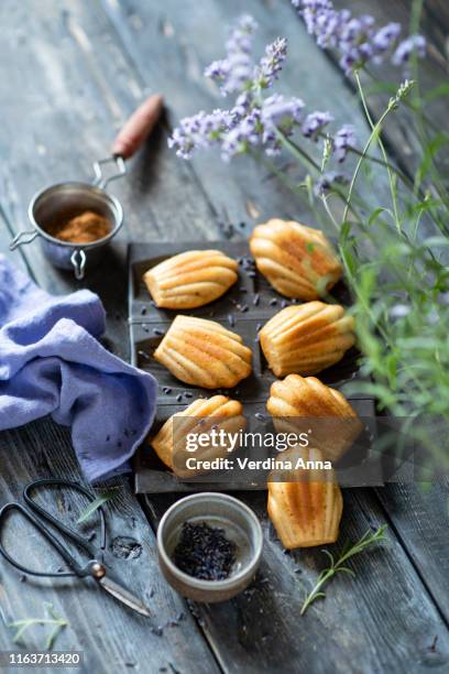 madeleines - madeleine sponge cake stock pictures, royalty-free photos & images