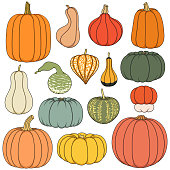 Set of color illustrations with pumpkins of different shapes and varieties. Isolated objects.