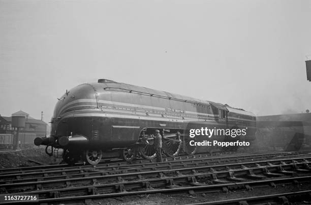 Freestone Train 404 Lms Locomotive Stock Photos, High-Res Pictures, and Images - Getty ...