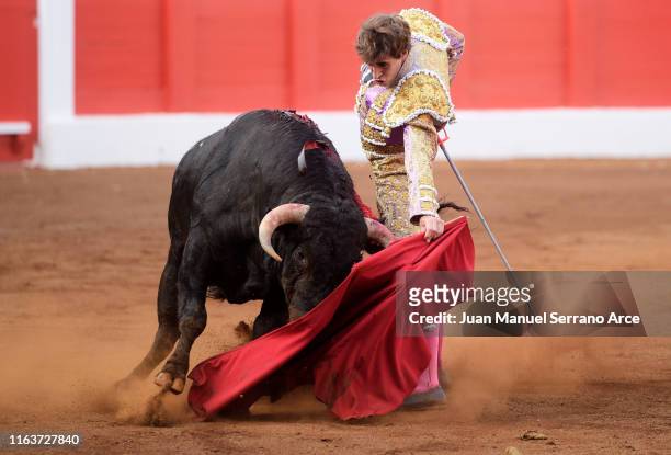 Spanish bullfighter Fernando Plaza performs during a bullfight as part of the Feria Santiago at Coso de Cuatro Caminos on July 22, 2019 in Santander,...