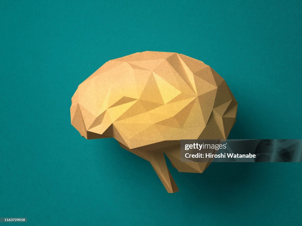 Paper craft Brain