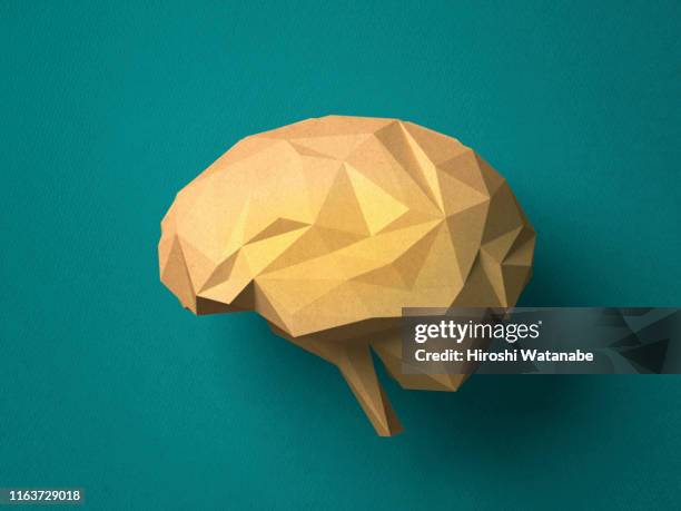 paper craft brain - human brain stock-fotos und bilder