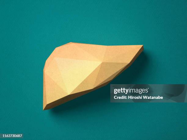 paper craft liver - lever inwendig orgaan stockfoto's en -beelden