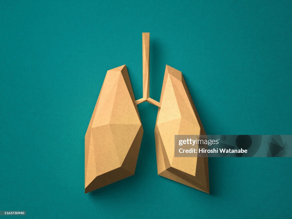 Paper craft Lung