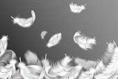 White feathers background. Falling flying fluffy swan, dove or angel wings feather, soft bird plumage. Style flyer vector concept