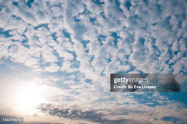 cloudy dawn skies - 高層雲 個照片及圖片檔