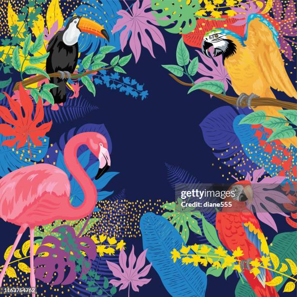 tropischer hintergrund mit flamingos papageien und toucans - tropenvogel stock-grafiken, -clipart, -cartoons und -symbole