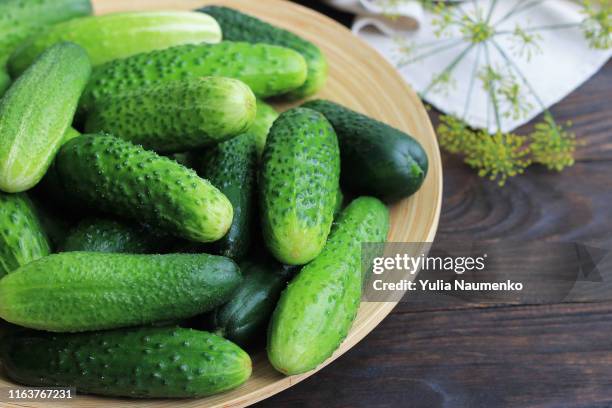 farm cucumbers on wooden background. close-up, copy space. - large cucumber stockfoto's en -beelden
