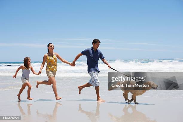 familie mit hund laufen am strand - family dog stock-fotos und bilder