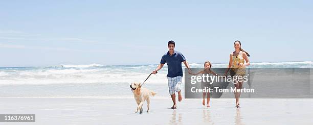 family with dog running on beach - three girls at beach stock pictures, royalty-free photos & images