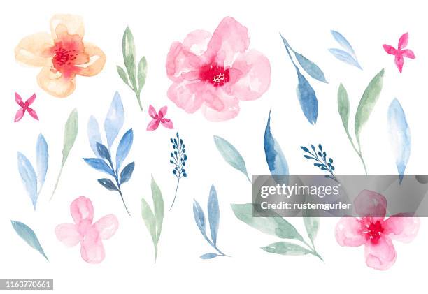 illustrations, cliparts, dessins animés et icônes de ensemble de fleur d'aquarelle et de feuilles vertes - fleur