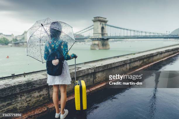 touristin erkundet budapest - chain bridge suspension bridge stock-fotos und bilder
