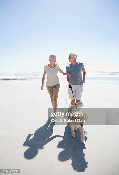 coppia senior con cane camminare sulla spiaggia - couple walking on beach foto e immagini stock