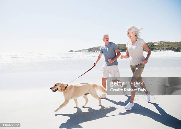 altes paar laufen am strand mit hund - senior women stock-fotos und bilder