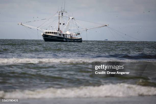 Fishing trawler moves through the Gulf of Mexico off the coast of Grand Isle on August 24, 2019 in Grand Isle, Louisiana. According to researchers at...