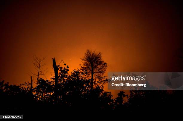 Fire burns in the Amazon rainforest in Porto Velho, Rondonia state, Brazil, on Saturday, Aug. 24, 2019. The world's largest rainforest, Brazil's...