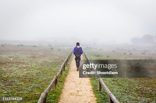 Femme de voyageur marchant seul sur un domaine entouré par le brouillard. Femme seule de dos marchant par le brouillard dans la forêt. Femme de voyageur marchant seul sur un domaine entouré par le brouillard. Femme seule de dos marchant par le brouillard dans la forêt.