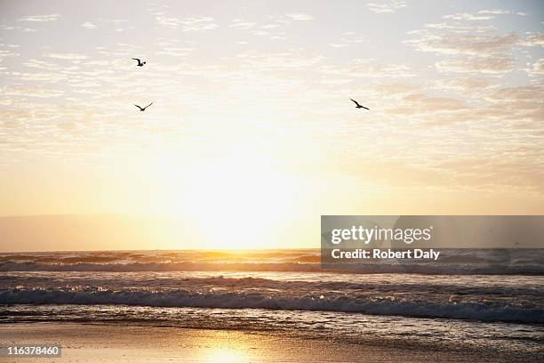 amanecer en el océano - sunset fotografías e imágenes de stock