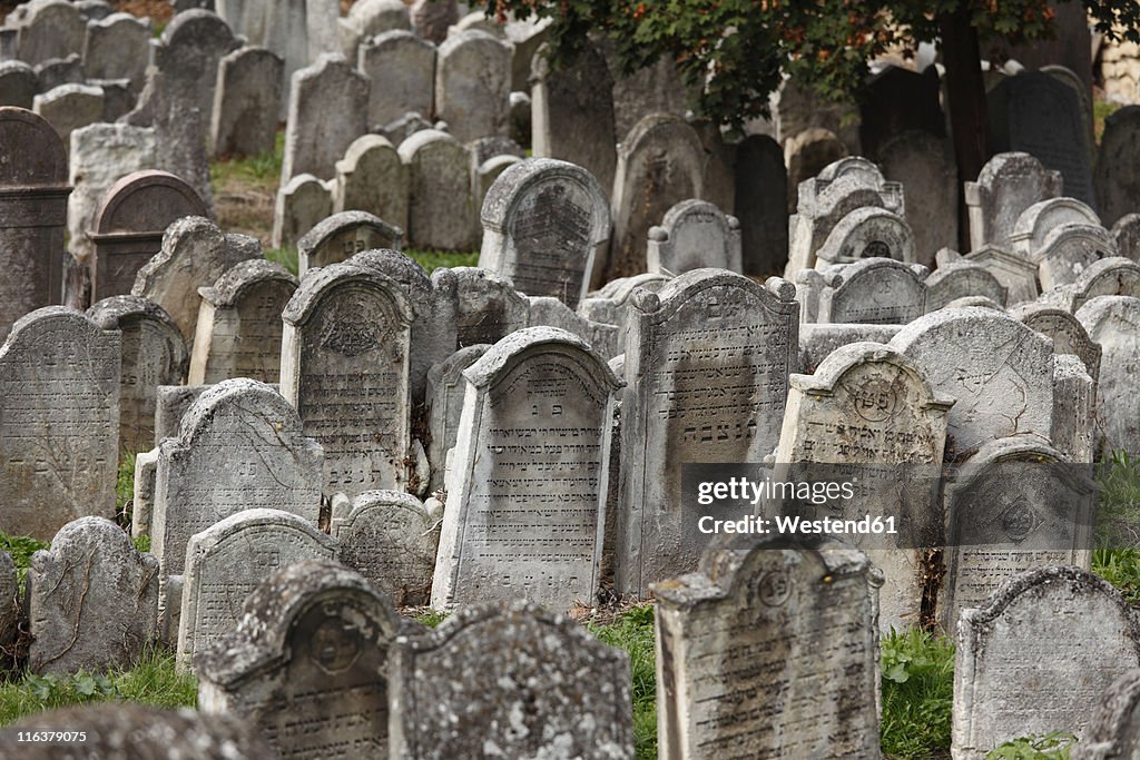 Austria, Burgenland, Eisenstadt, View of jewish grave yard