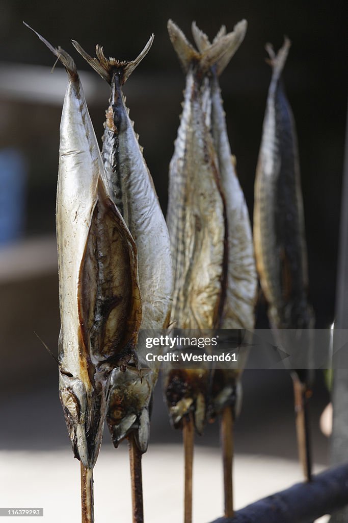 Europe, Germany, Upper Bavaria, Eibsee, View of mackerels on grill