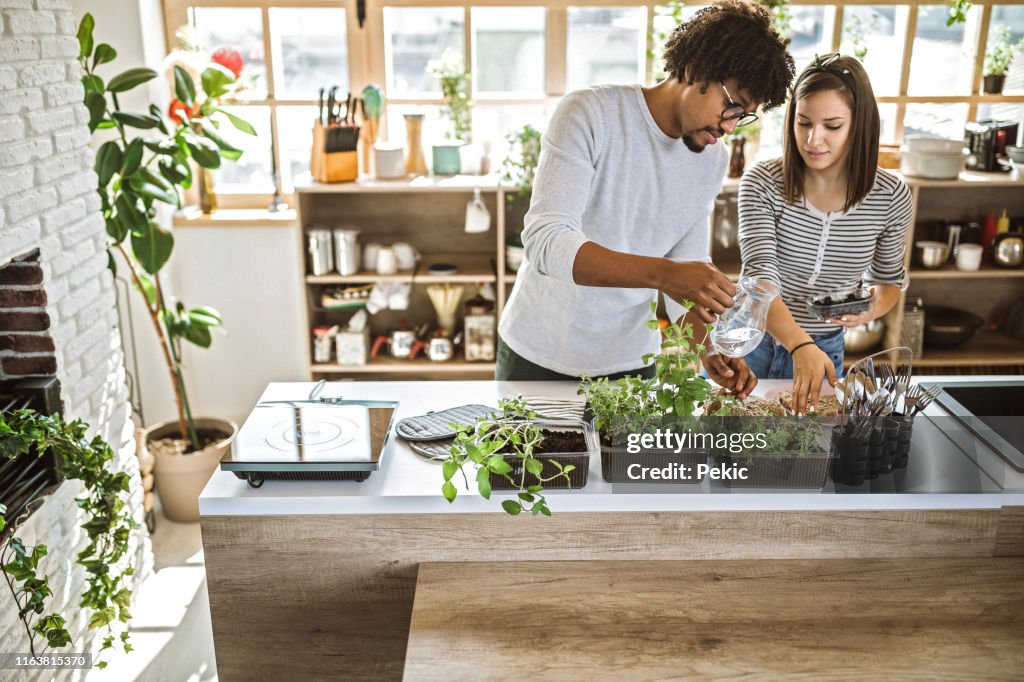 Multi-ethnic couple taking care of kitchen herbs