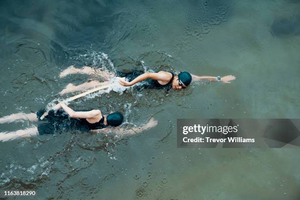 view from directly above a visually impaired female triathlete swimming in the ocean with her guide - triathlon stockfoto's en -beelden