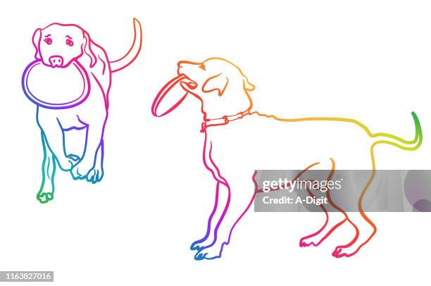 dog and frisbee rainbow - chasing tail stock illustrations