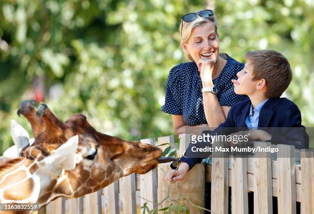 Sophie, Countess of Wessex and James, Viscount Severn feed a giraffe as they visit The Wild Place Project at Bristol Zoo on July 23, 2019 in Bristol,...