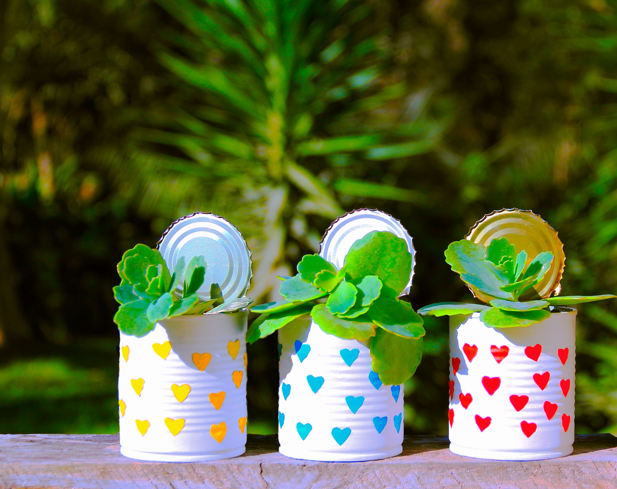 creative reuse