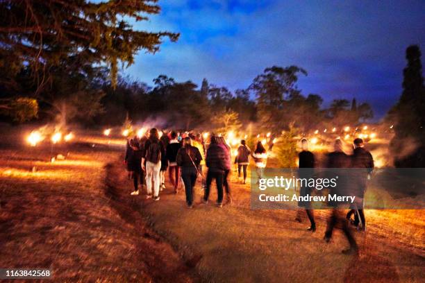 large group of people walking at night along a fire illuminated path with a dark blue sky and forest, tasmania, australia - fakkel stockfoto's en -beelden