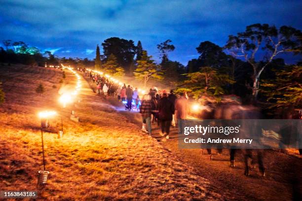 large group of people walking at night along a fire illuminated path with a dark blue sky and forest, tasmania, australia - mid summer fire - fotografias e filmes do acervo