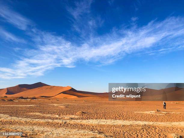 徒步沙丘 - namib naukluft national park 個照片及圖片檔