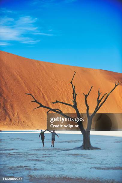 samen rennen tussen zandduin en dode vlei bomen - dead vlei stockfoto's en -beelden